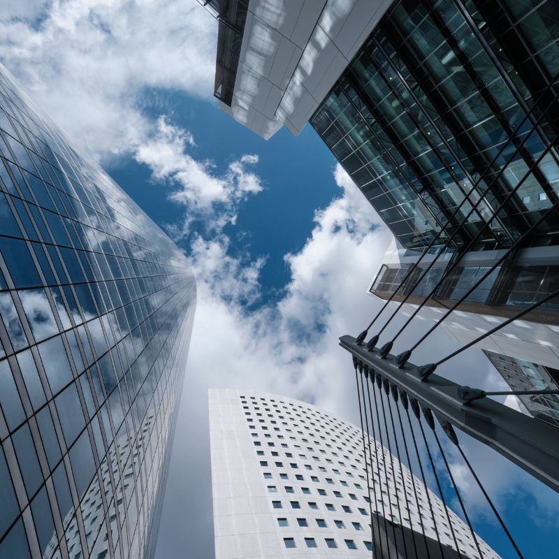 Lucia Llerena | Market & Investment Insights